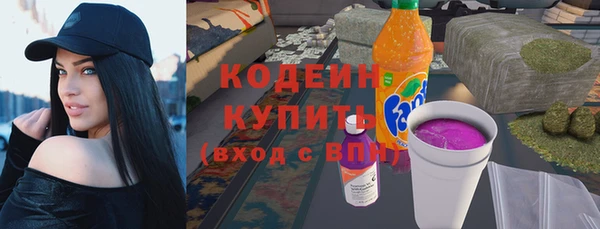таблы Богородицк