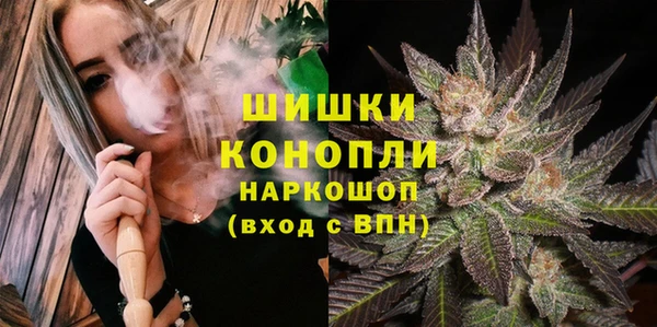 ешки Белокуриха