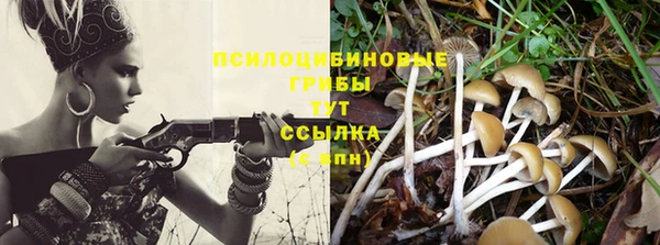 спайс Беломорск