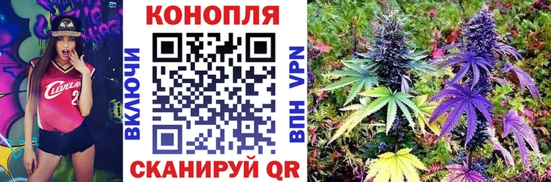 МАРИХУАНА White Widow  Купить закладки  Кемерово 